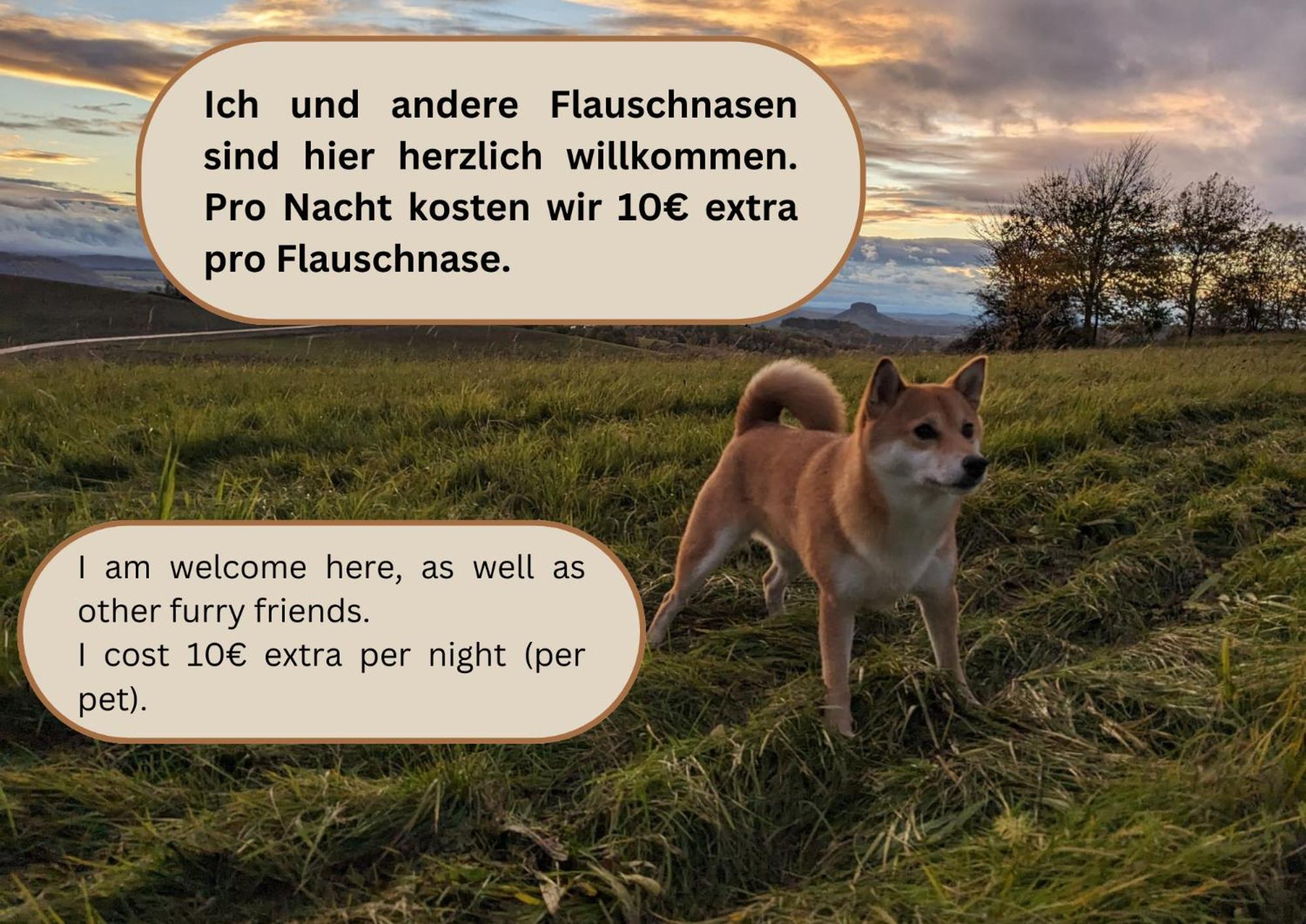 S1 - Urlaubsmagie - Direkt Loswandern, Bis Zu 4P Зебниц Экстерьер фото